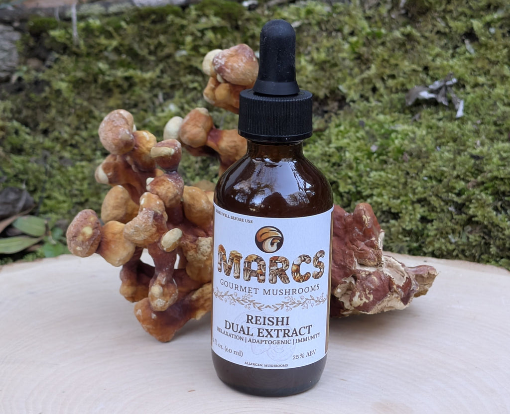 Reishi Mushroom Dual Extract Tincture