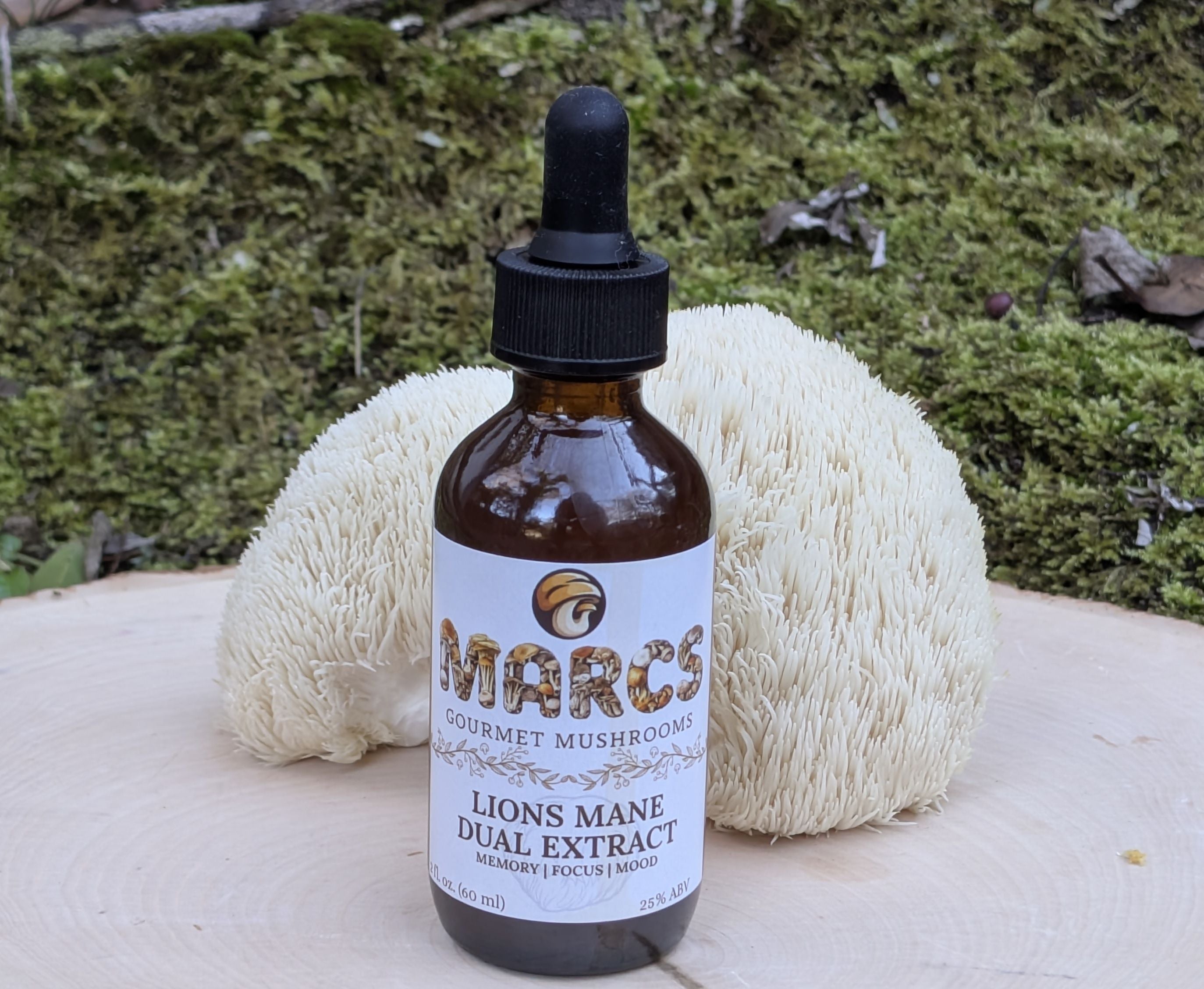 Lions Mane Mushroom  Dual Extract Tincture